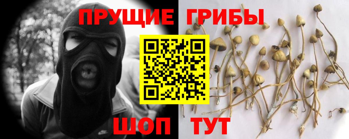 Галлюциногенные грибы Cubensis Медногорск